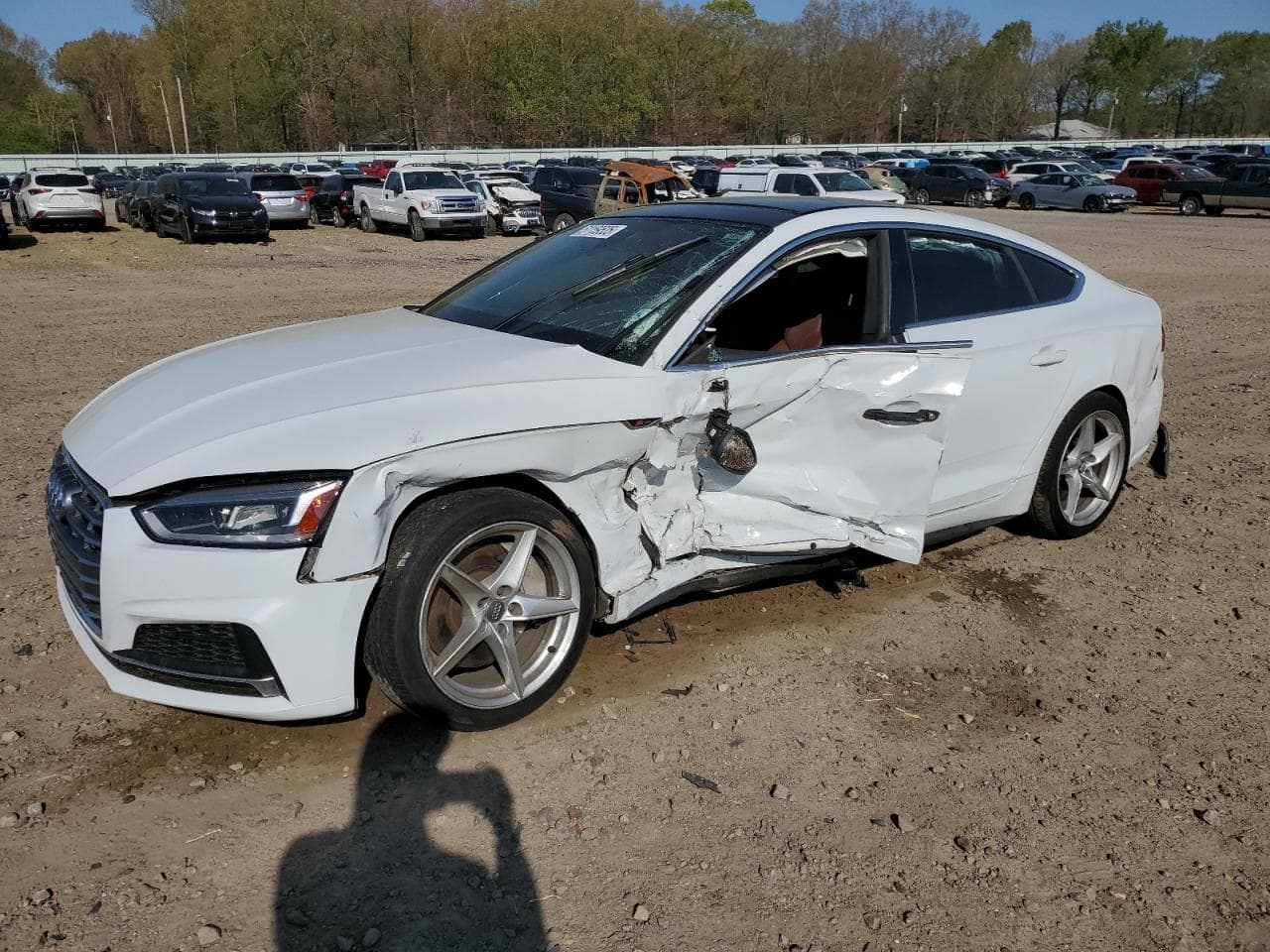2019 Audi A5 z USA