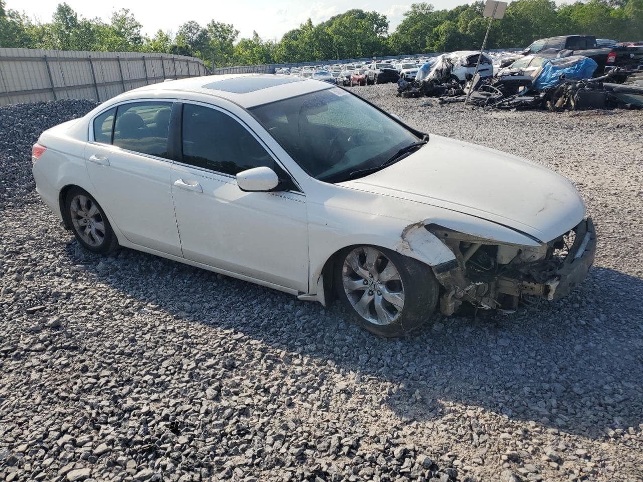 2009 Honda Accord Exl - foto 4