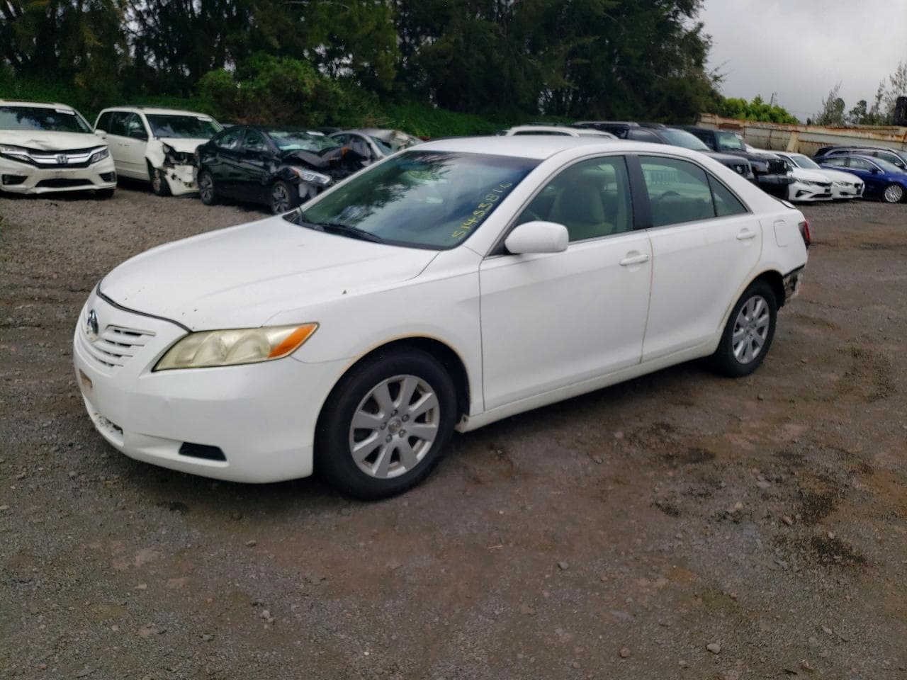 Toyota Camry 2009 z USA