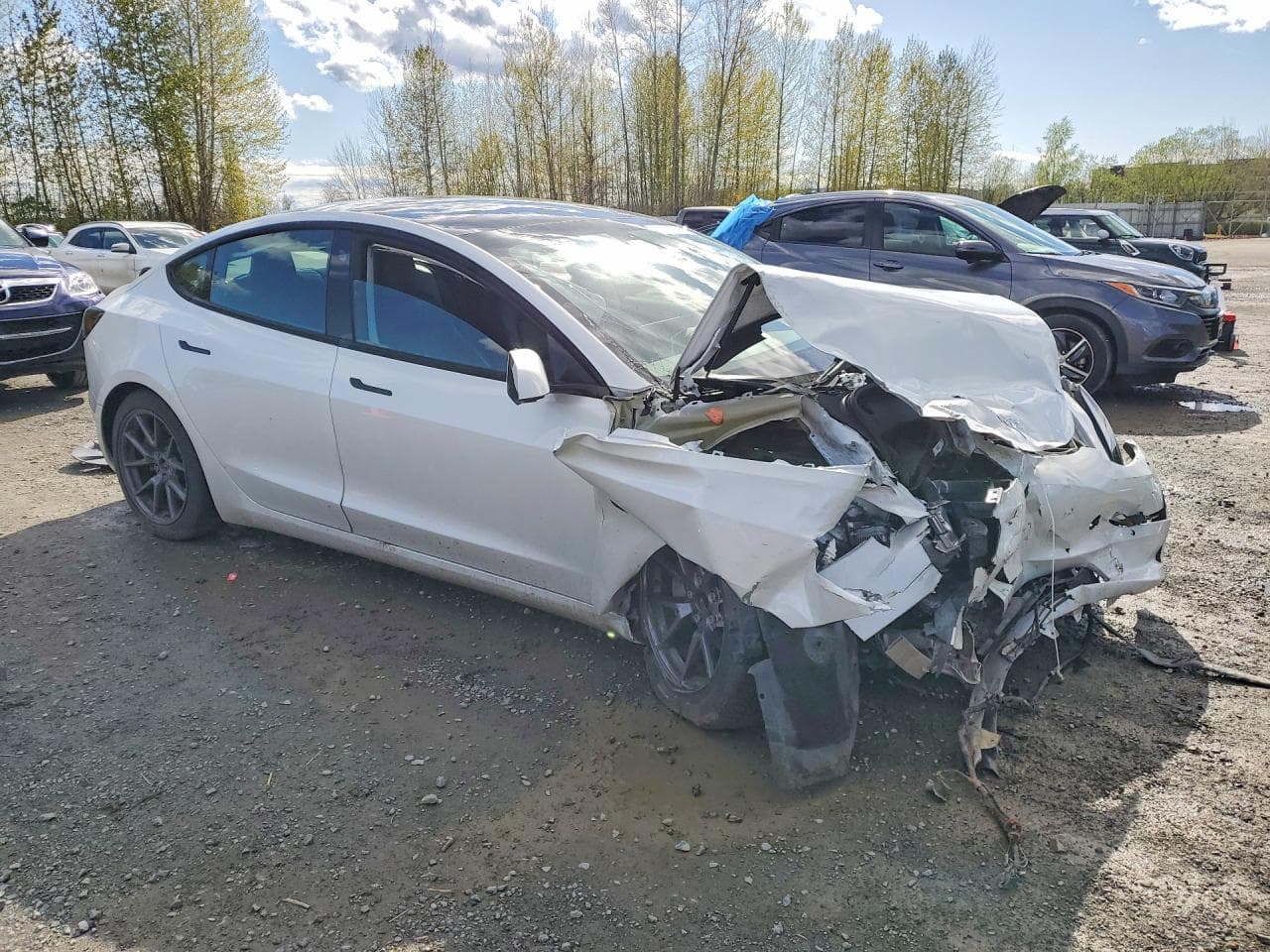 2021 Tesla Model 3 - foto 4
