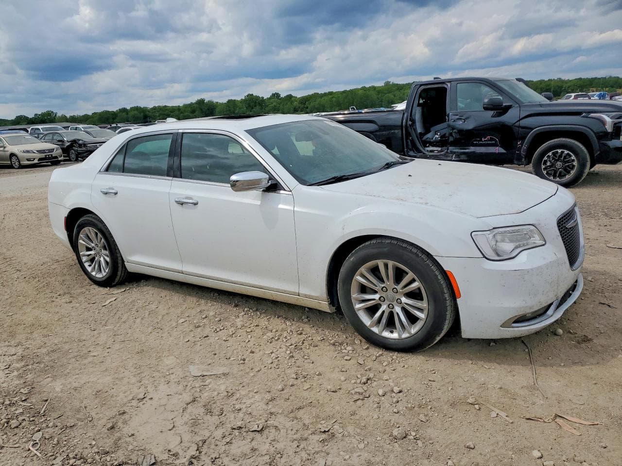 2017 Cy 300C - foto 4