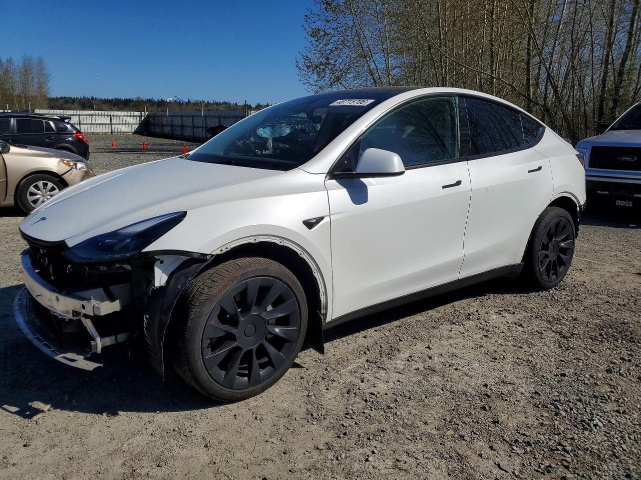 Tesla Model Y 2024 z USA