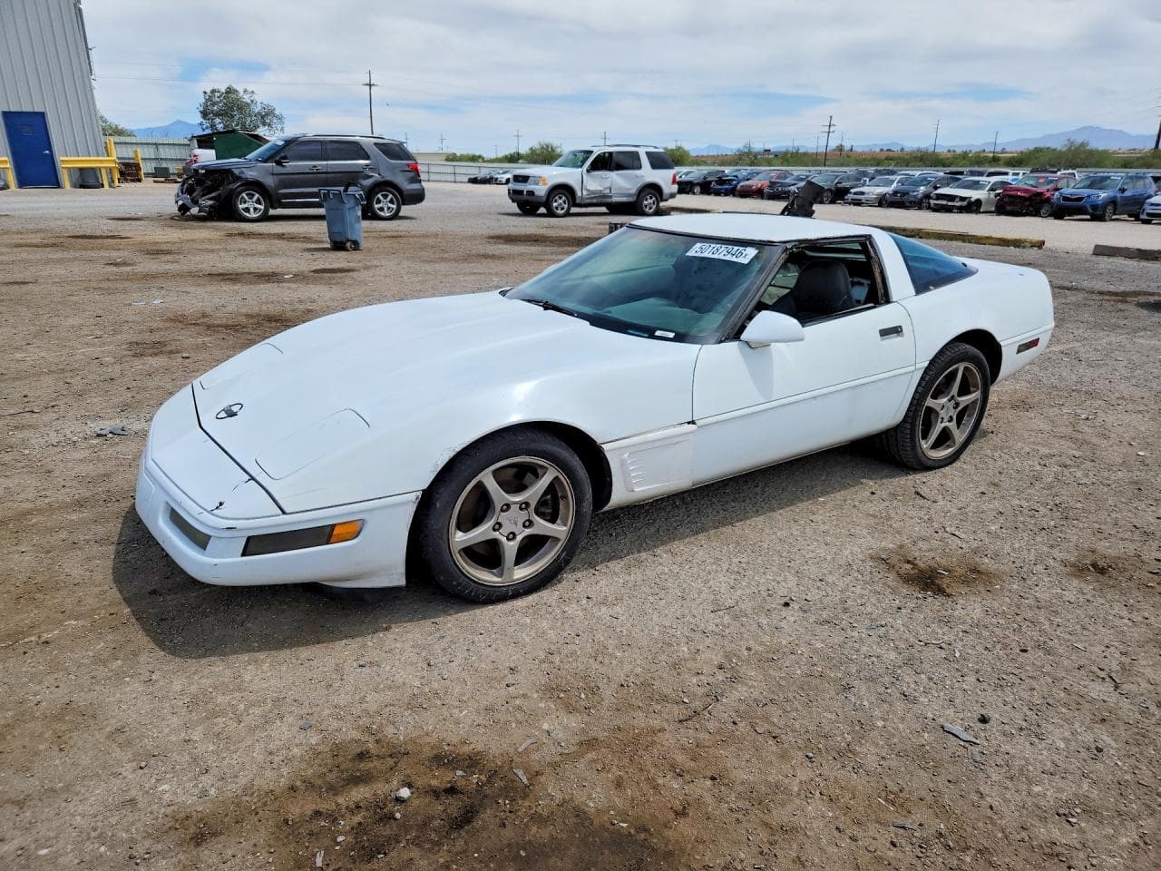 Chevrolet Corvette 1996 z USA
