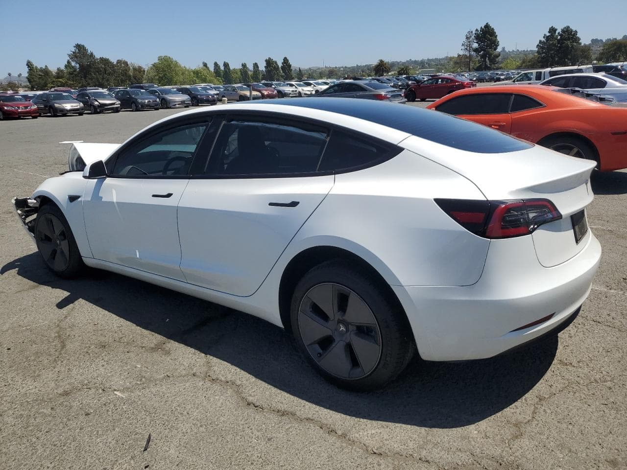 2023 Tesla Model 3 - foto 2