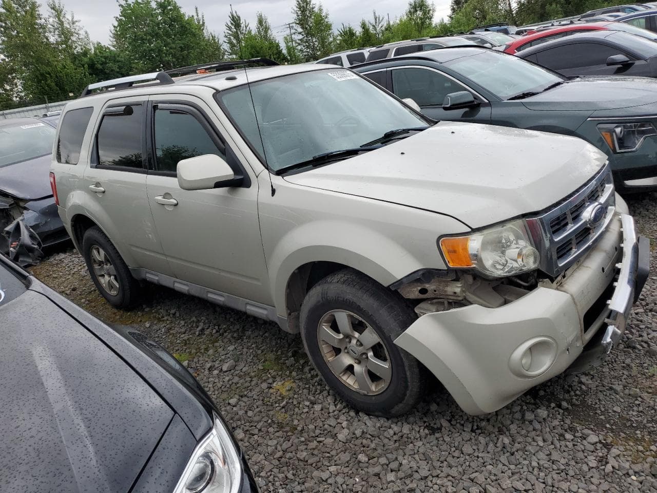 2009 Ford Escape Limited - foto 4