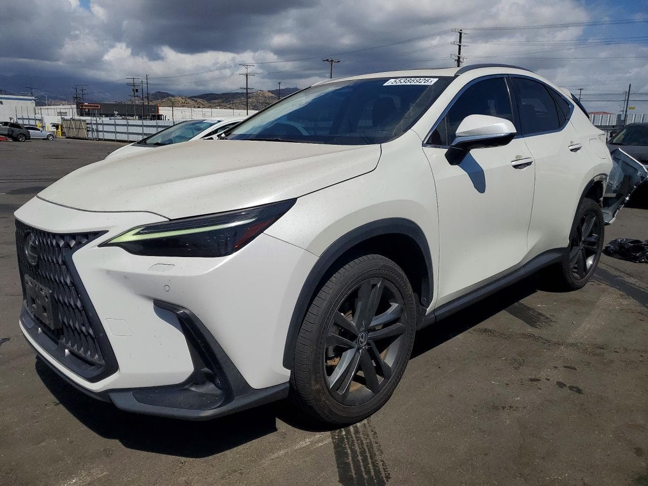 Lexus NX 2024 z USA