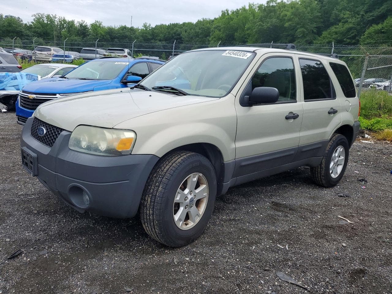 Ford Escape 2006 z USA