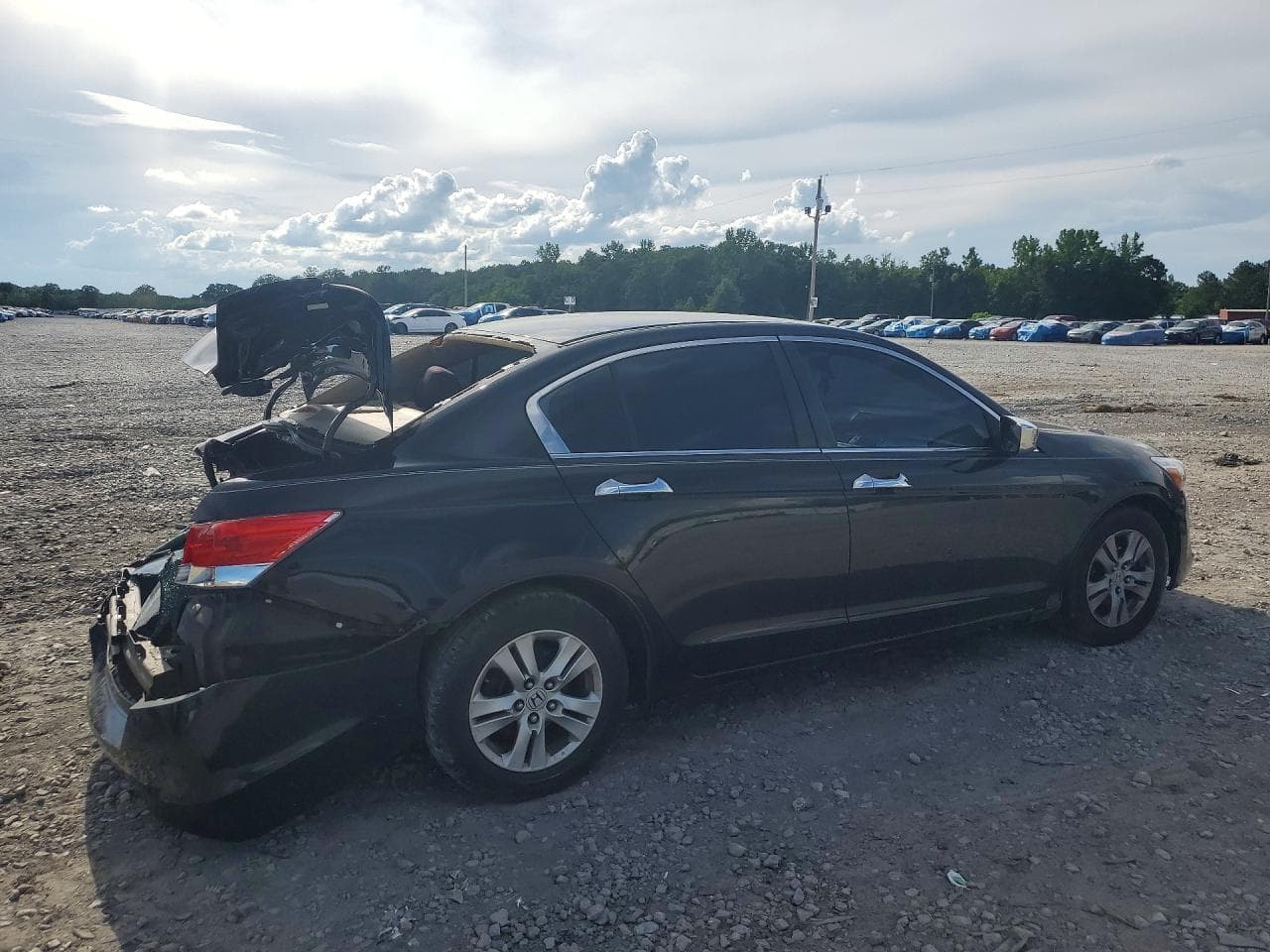 2009 Honda Accord Lxp - foto 3