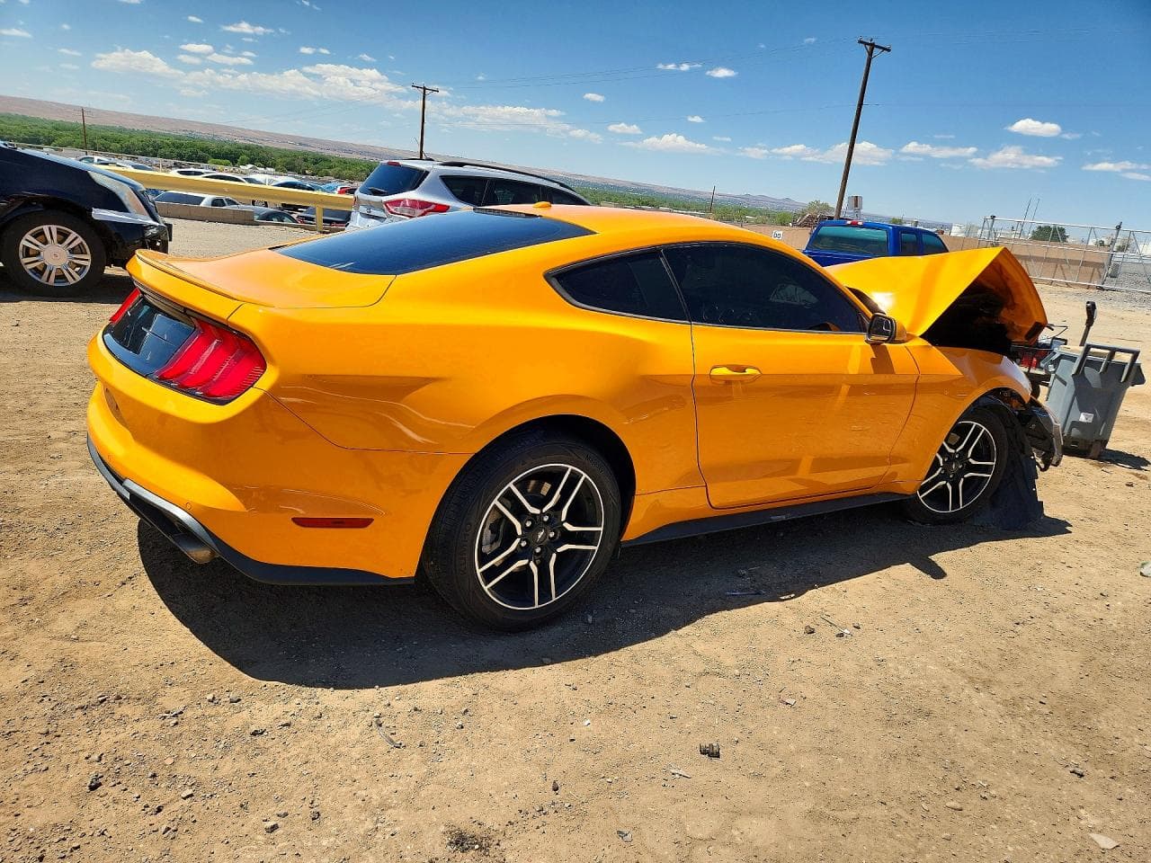 2019 Ford Mustang - foto 3
