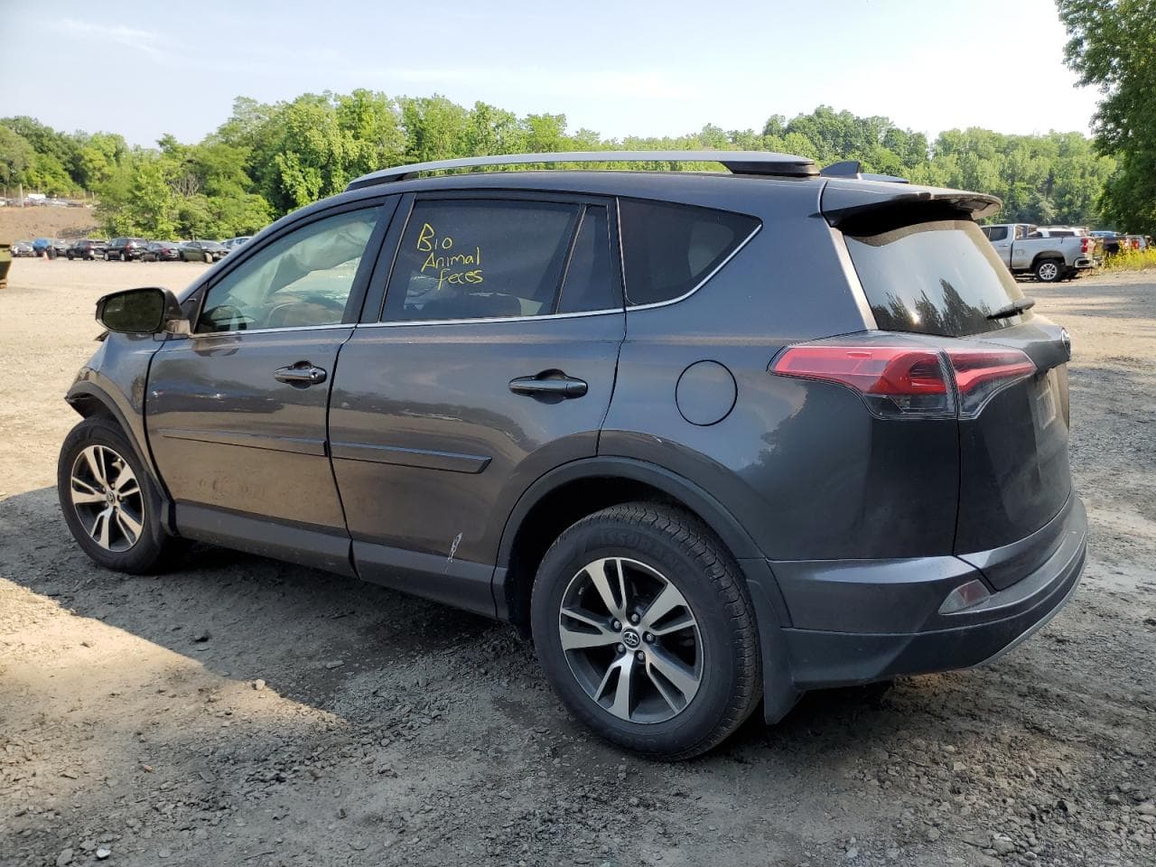 2017 Toyota Rav4 Xle - foto 2