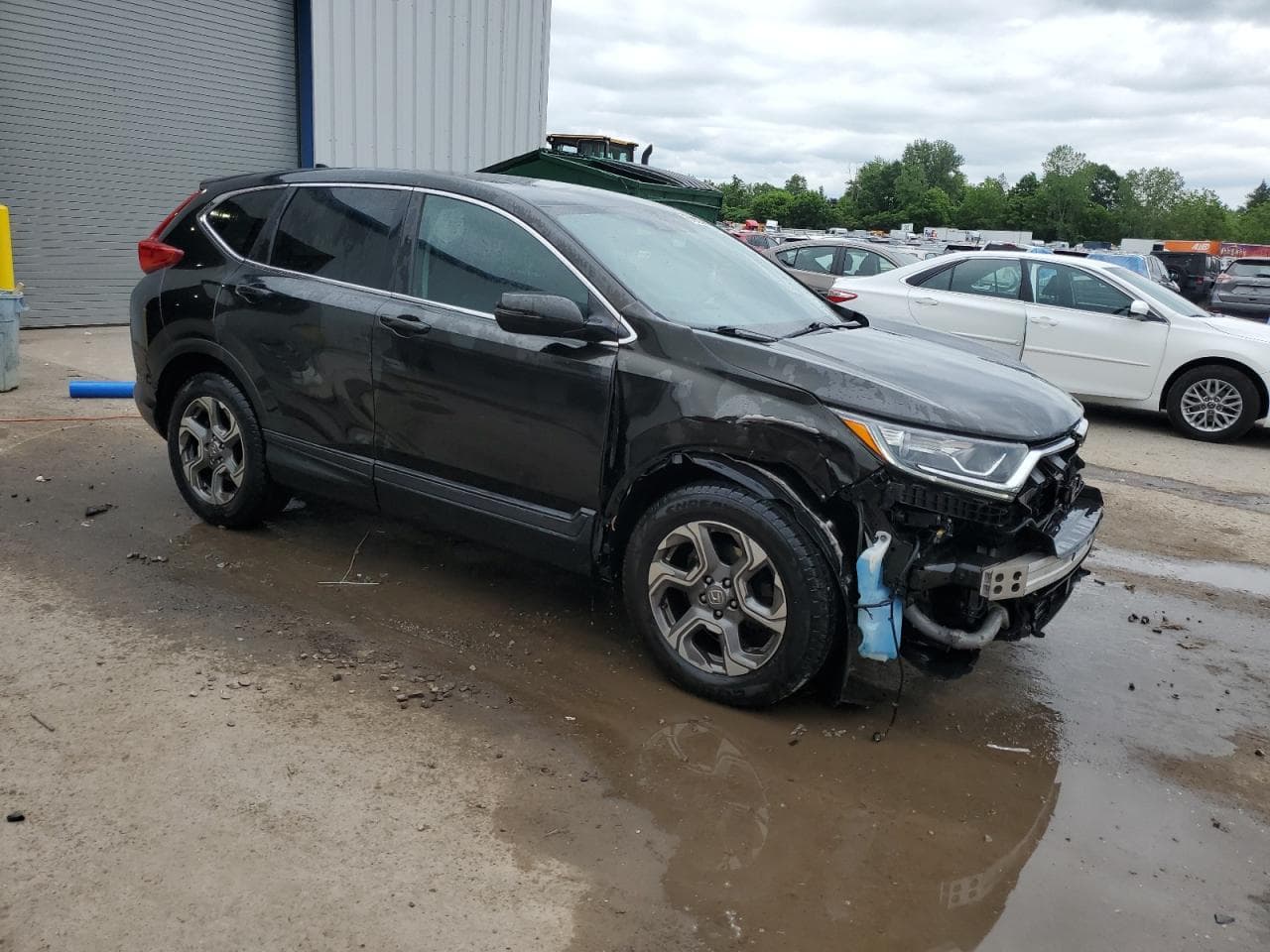 2019 Honda Cr-V Ex - foto 4
