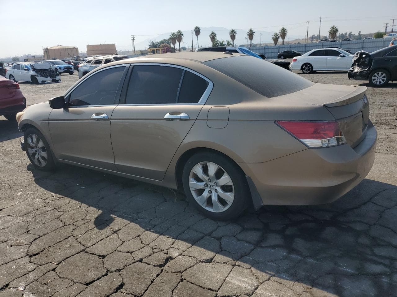 2008 Honda Accord Exl - foto 2