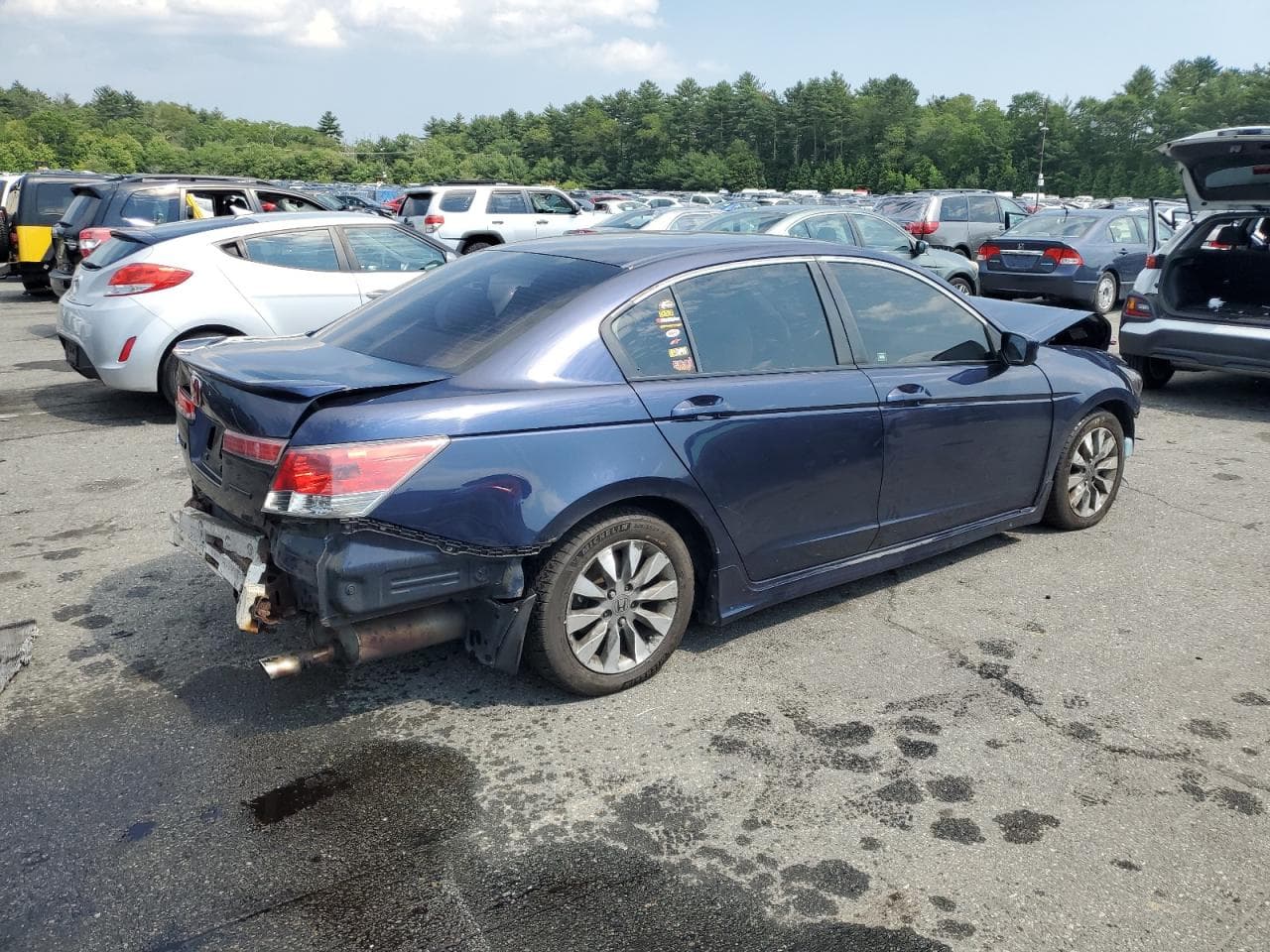 2008 Honda Accord Lx - foto 3