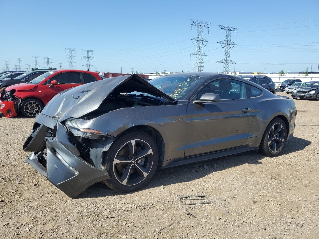 2019 Ford Mustang
