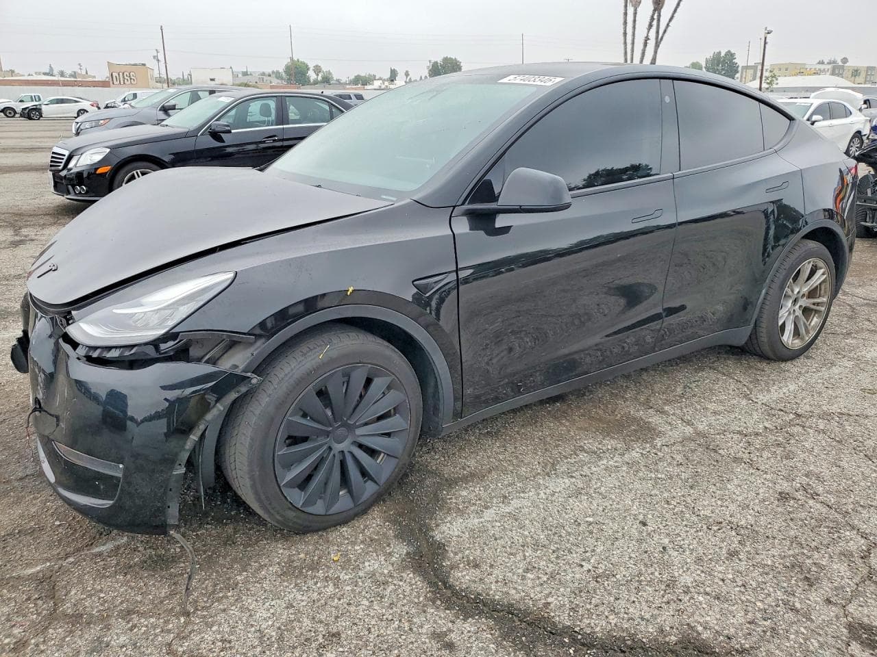 Tesla Model Y 2023 z USA