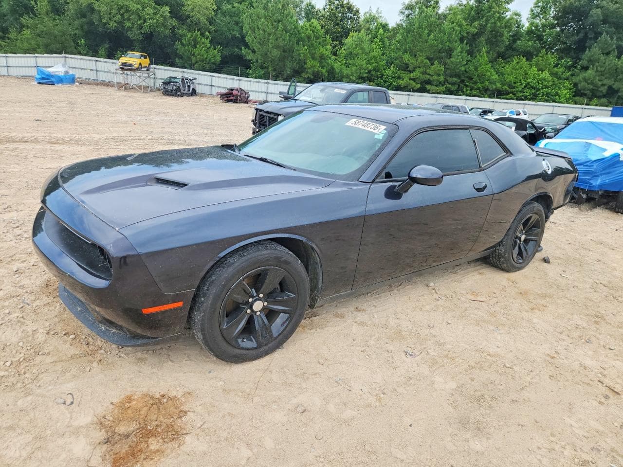 2019 Dodge Challenger Sxt