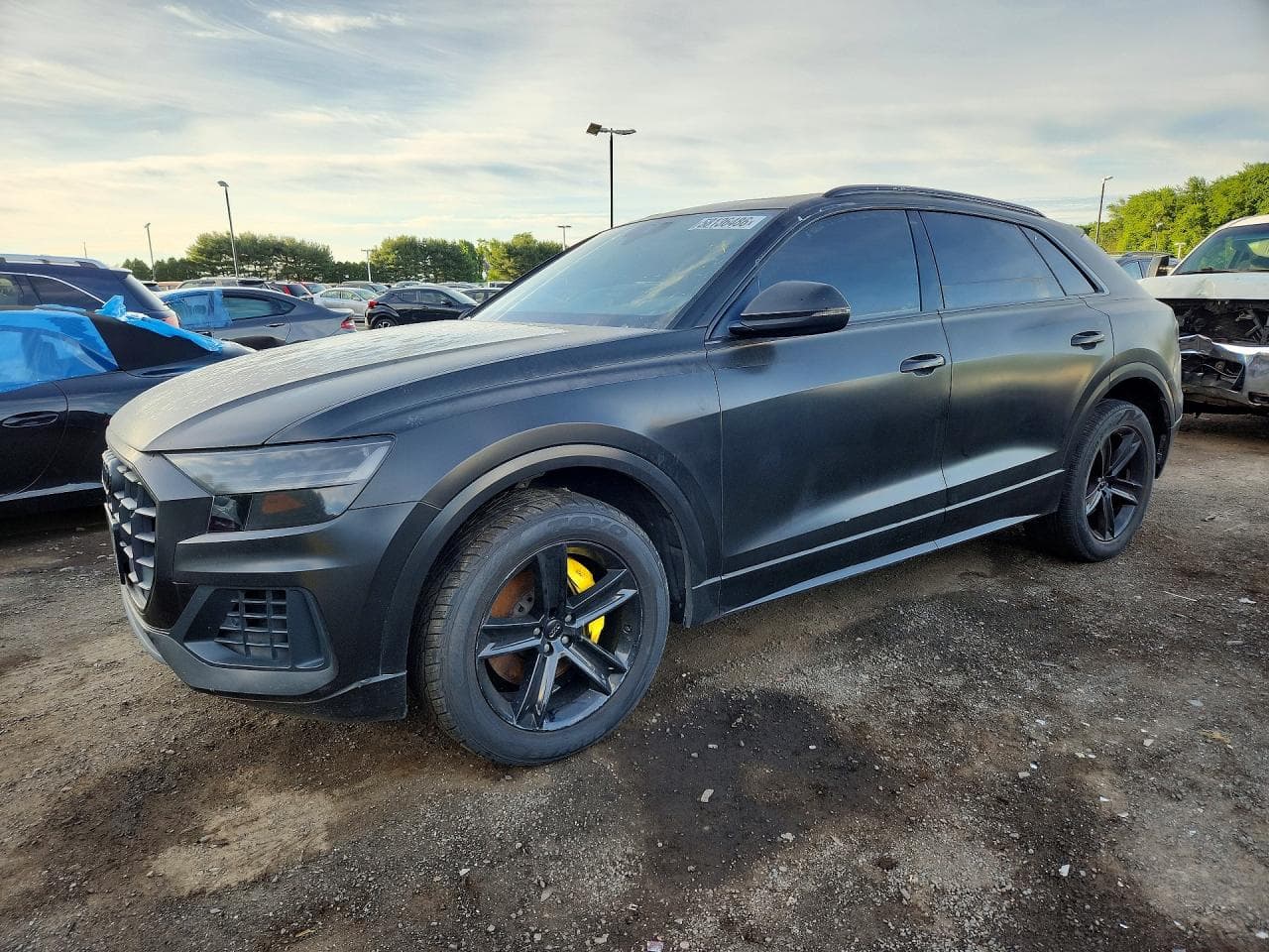 2019 Audi Q8 Premium