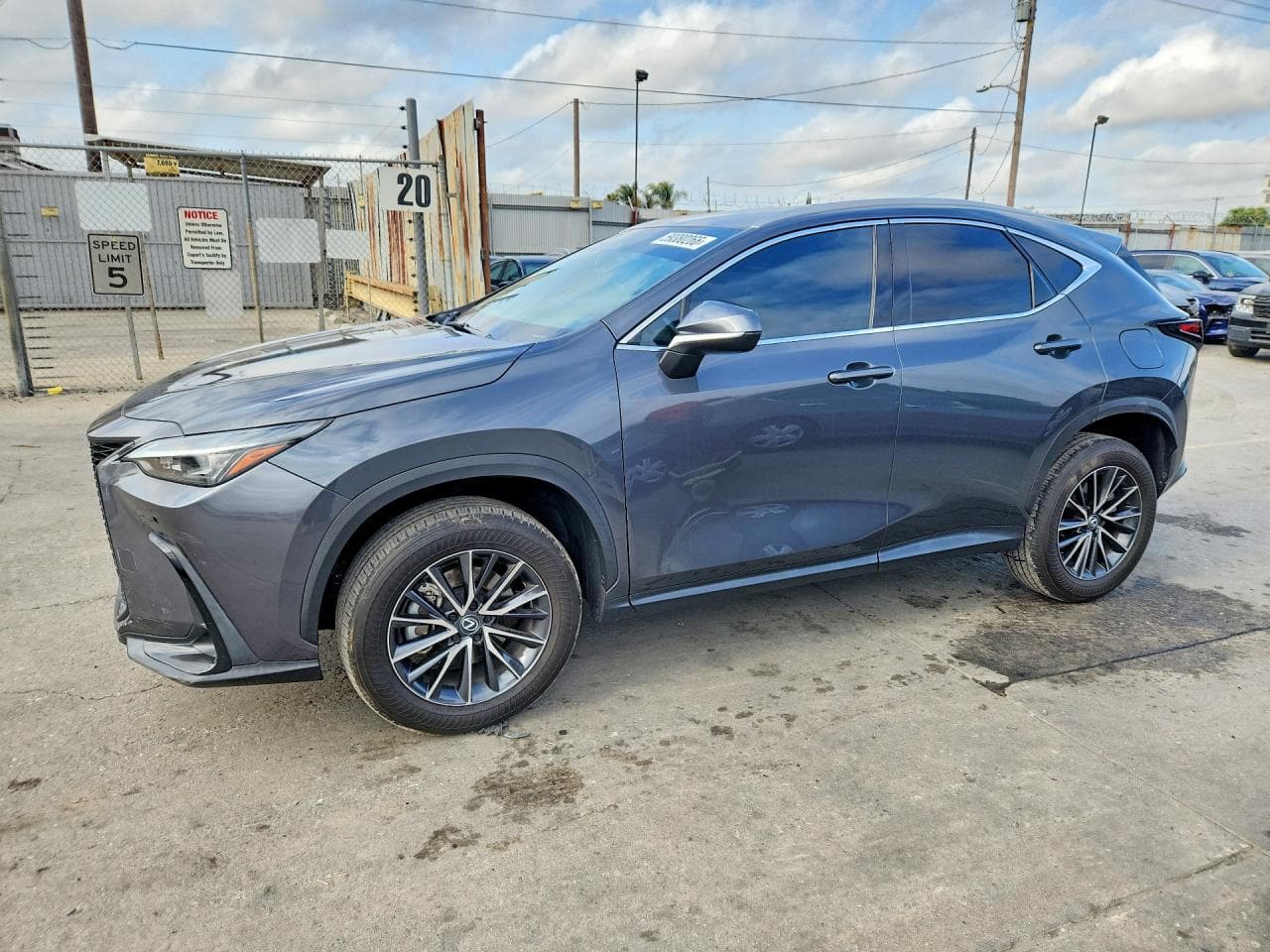 Lexus NX 2024 z USA