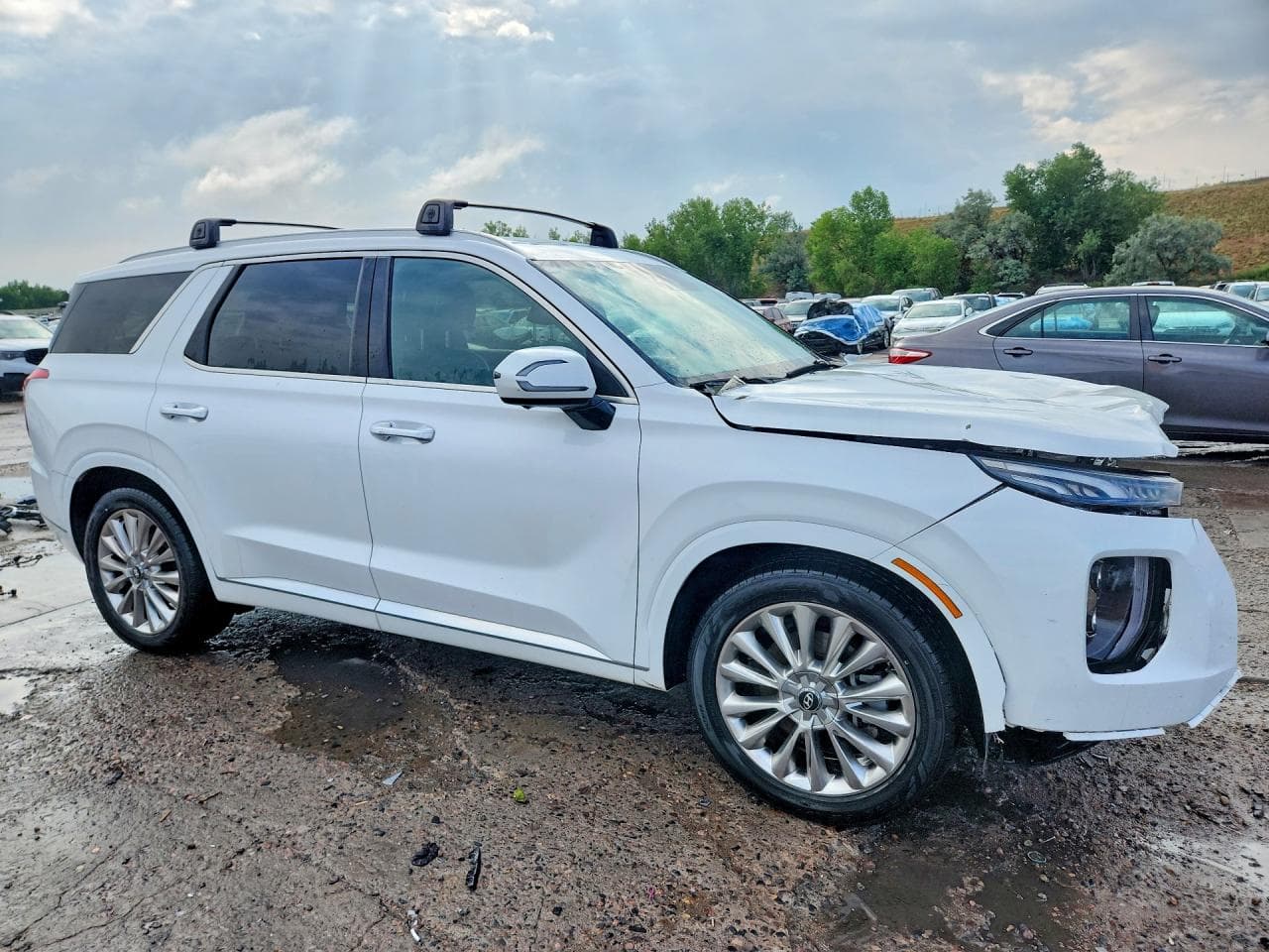 2020 Hyundai Palisade Limited - foto 4