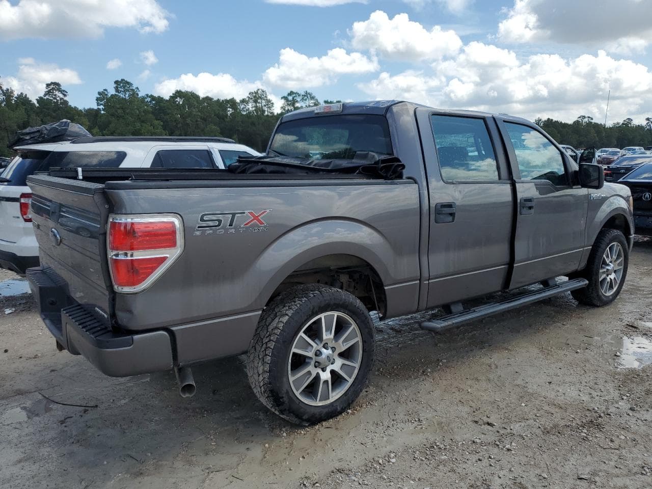 2014 Ford F150 Supercrew - foto 3