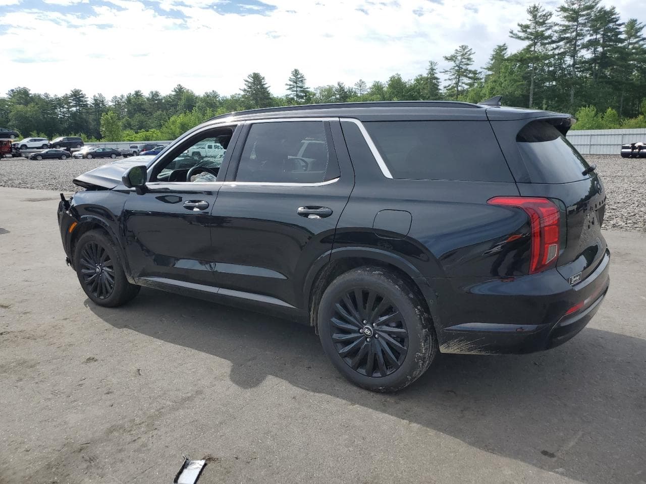 2025 Hyundai Palisade Calligraphy - foto 2