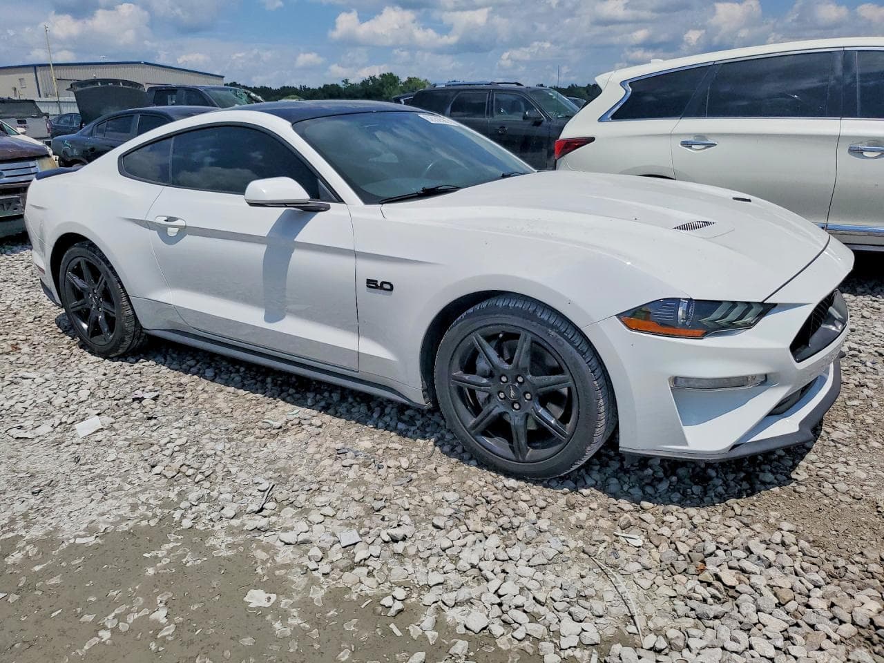 2019 Ford Mustang Gt - foto 4