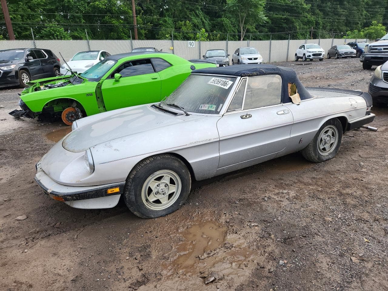 1988 Alfa Romeo Spider z USA