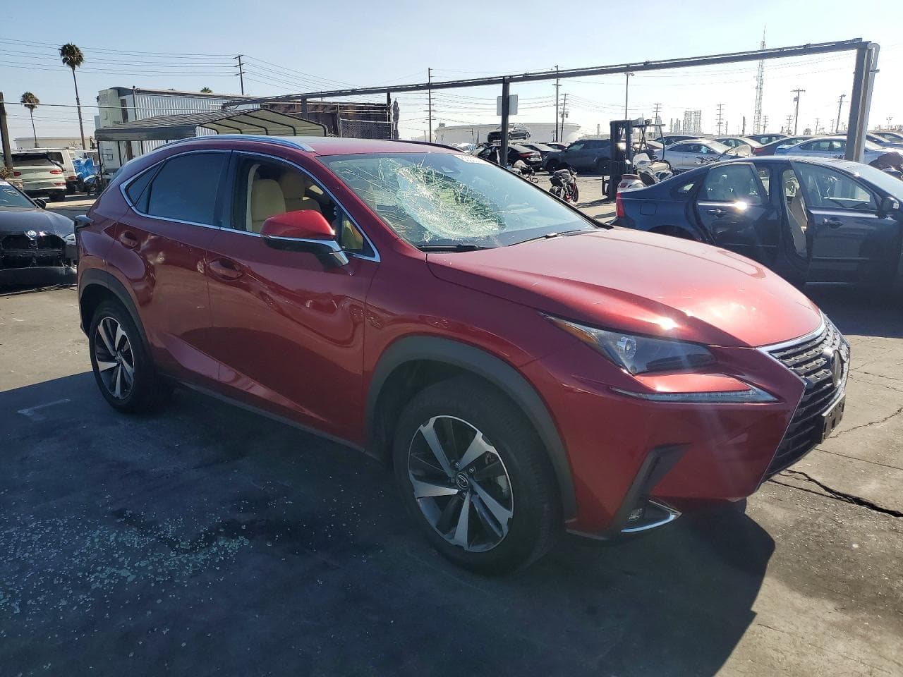 2021 Lexus Nx 300H Base - foto 4