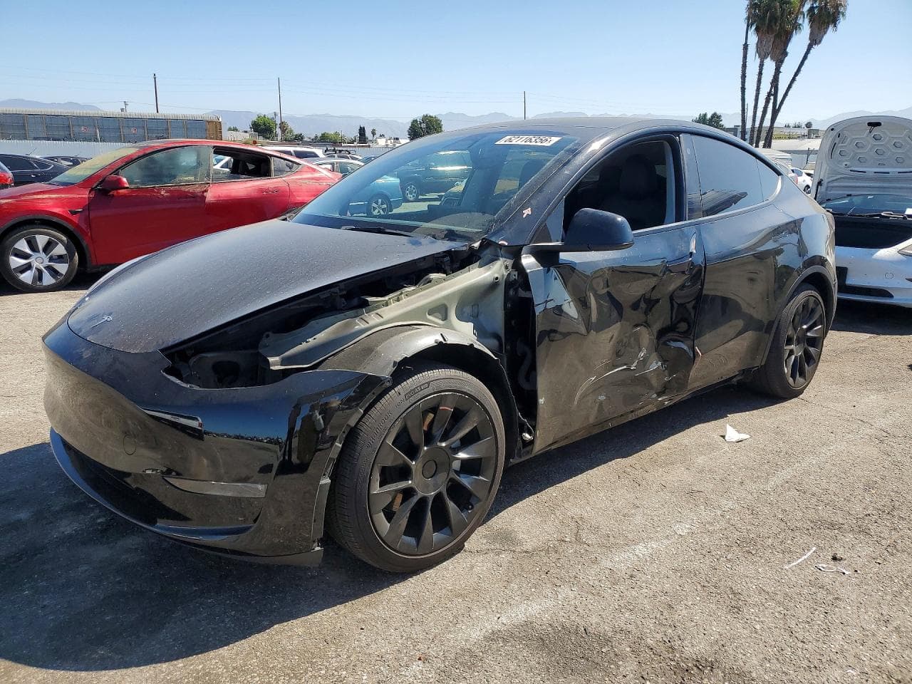 Tesla Model Y 2023 z USA