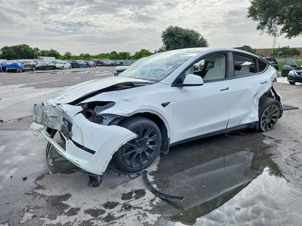 Tesla Model Y 2024 z USA