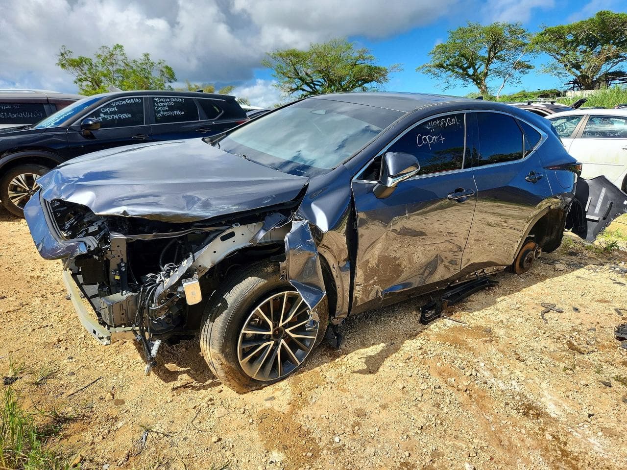 Lexus NX 2024 z USA