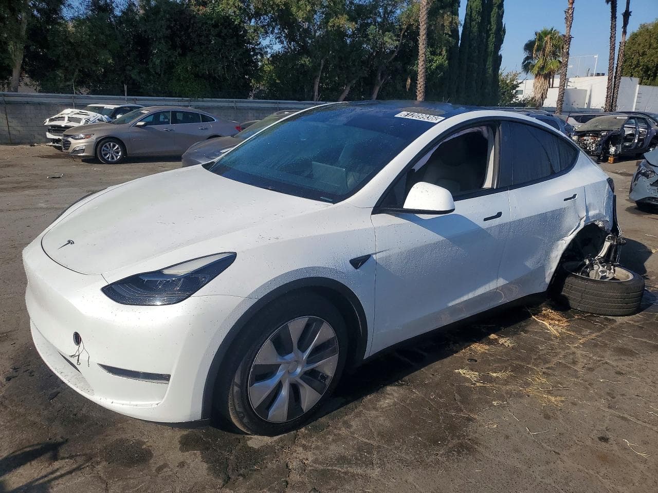 Tesla Model Y 2024 z USA