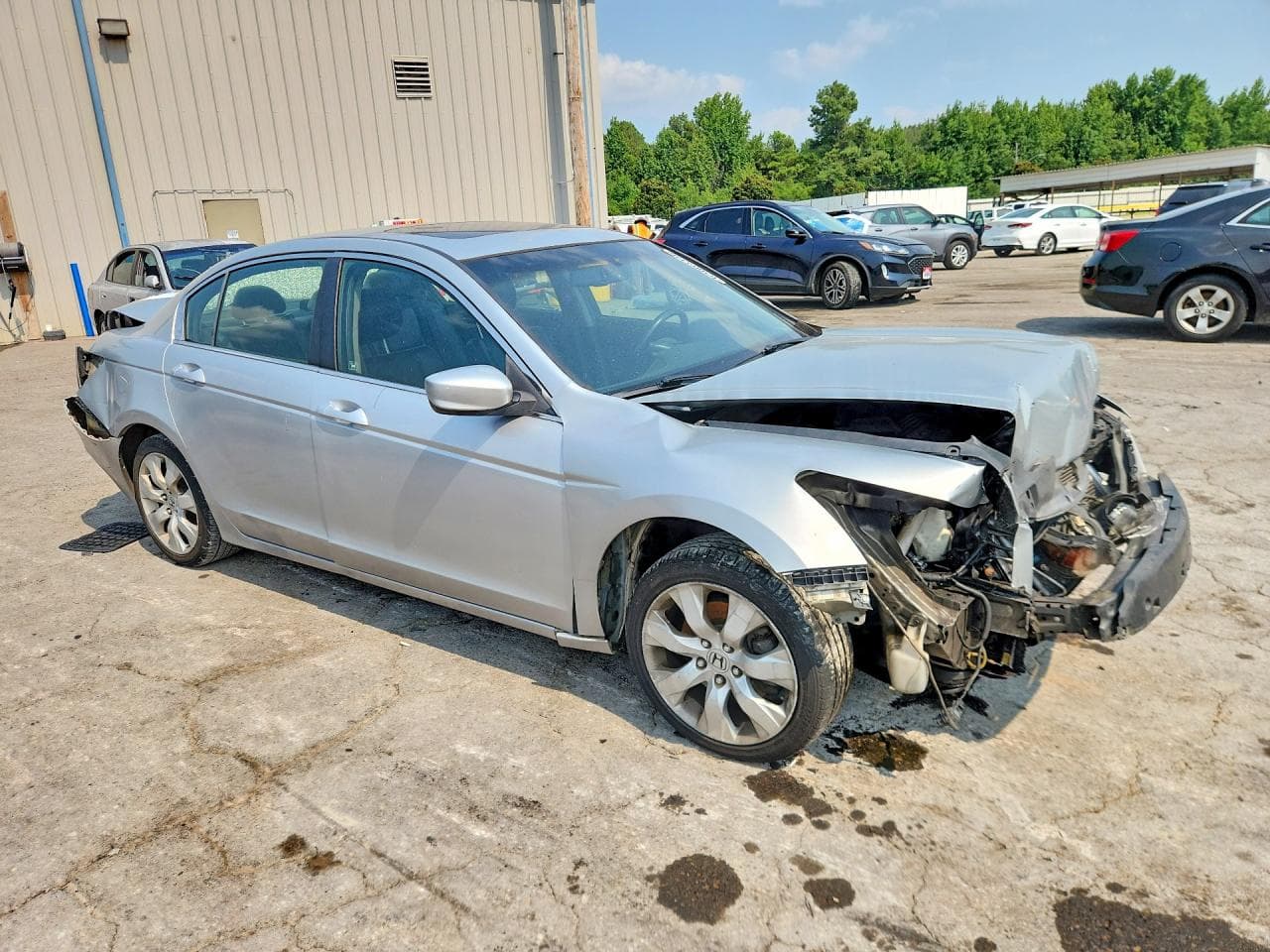 2008 Honda Accord Exl - foto 4