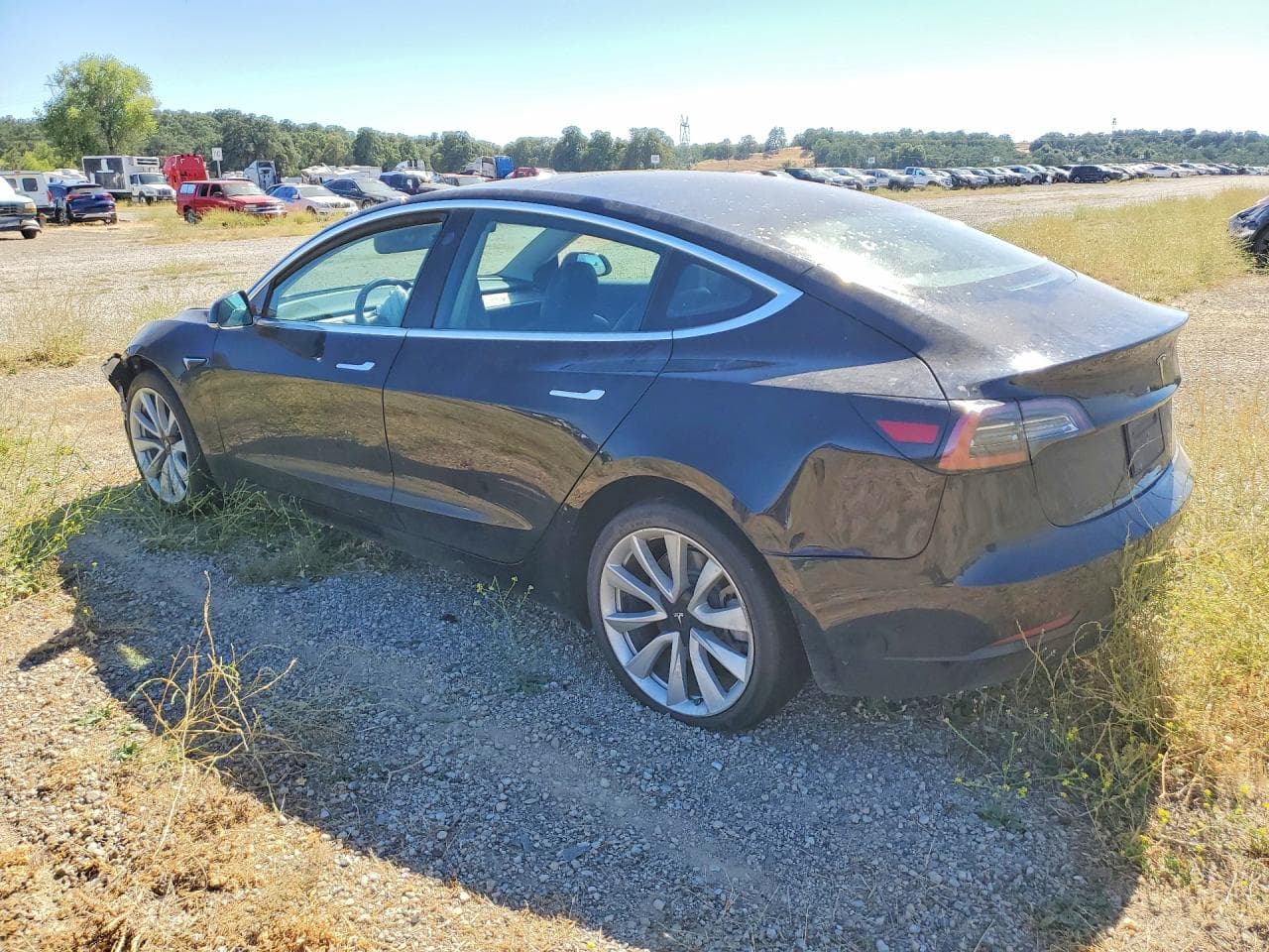 2019 Tesla Model 3 - foto 2