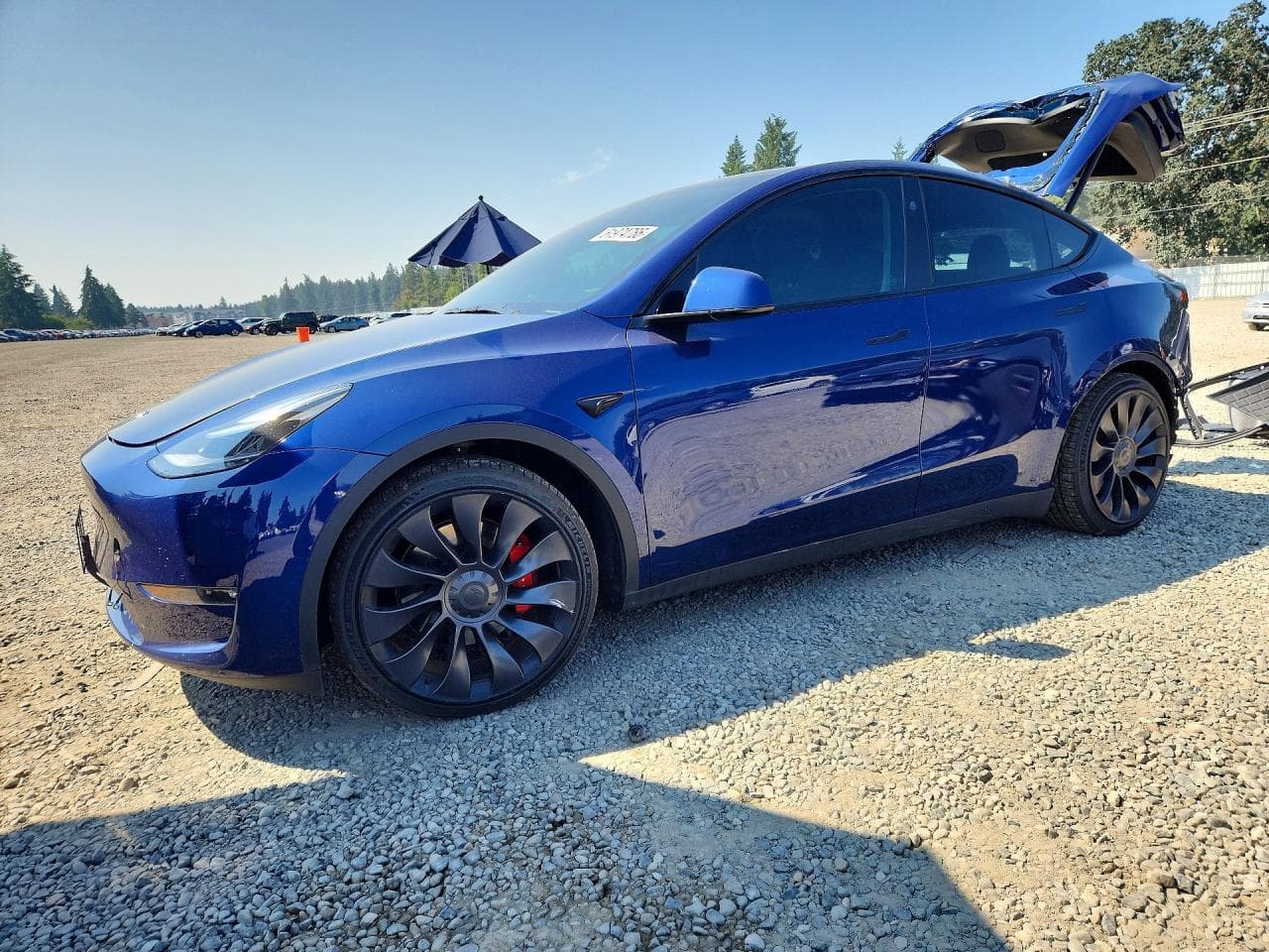 Tesla Model Y 2023 z USA