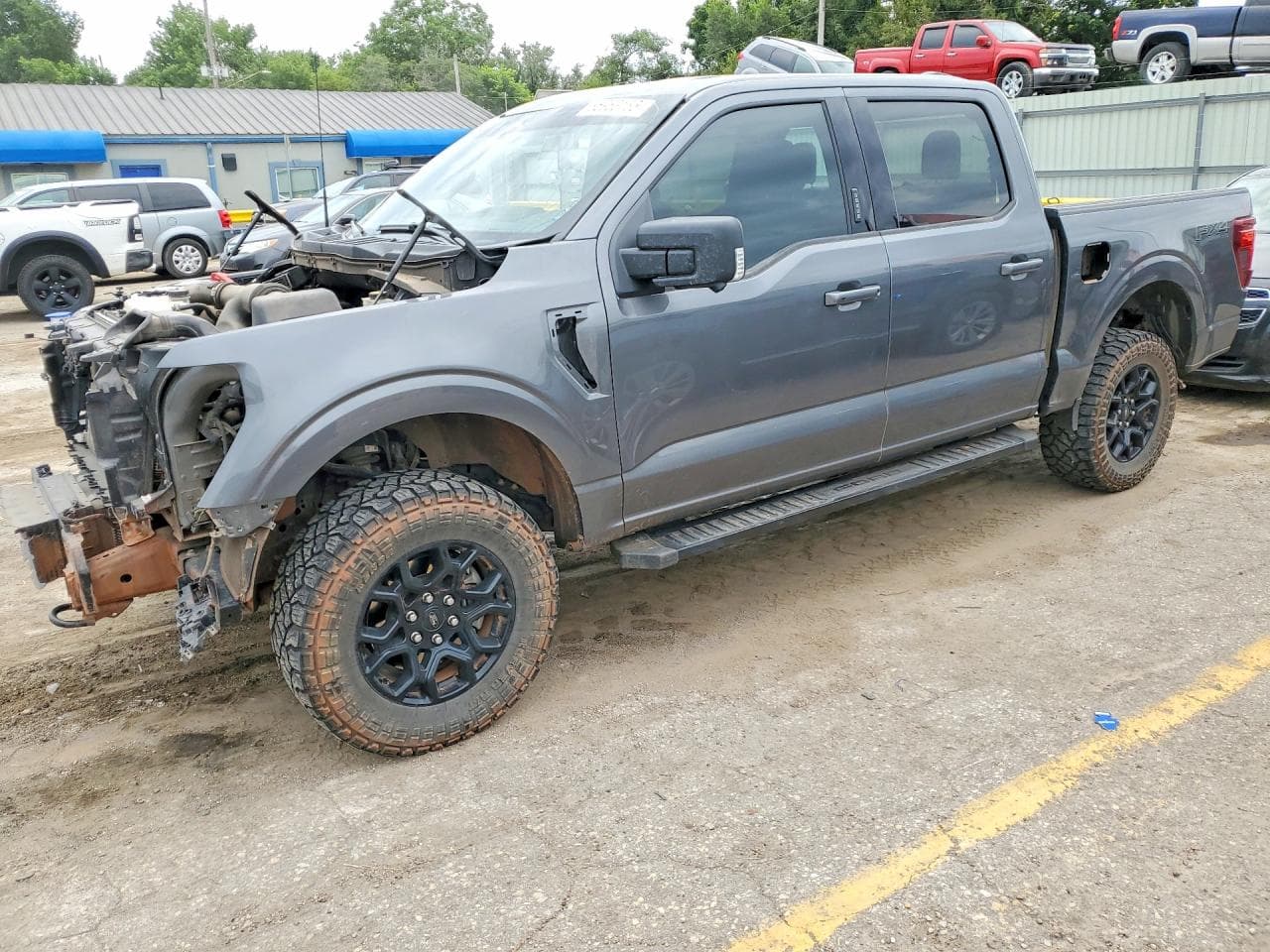 2024 Ford F150 Xlt