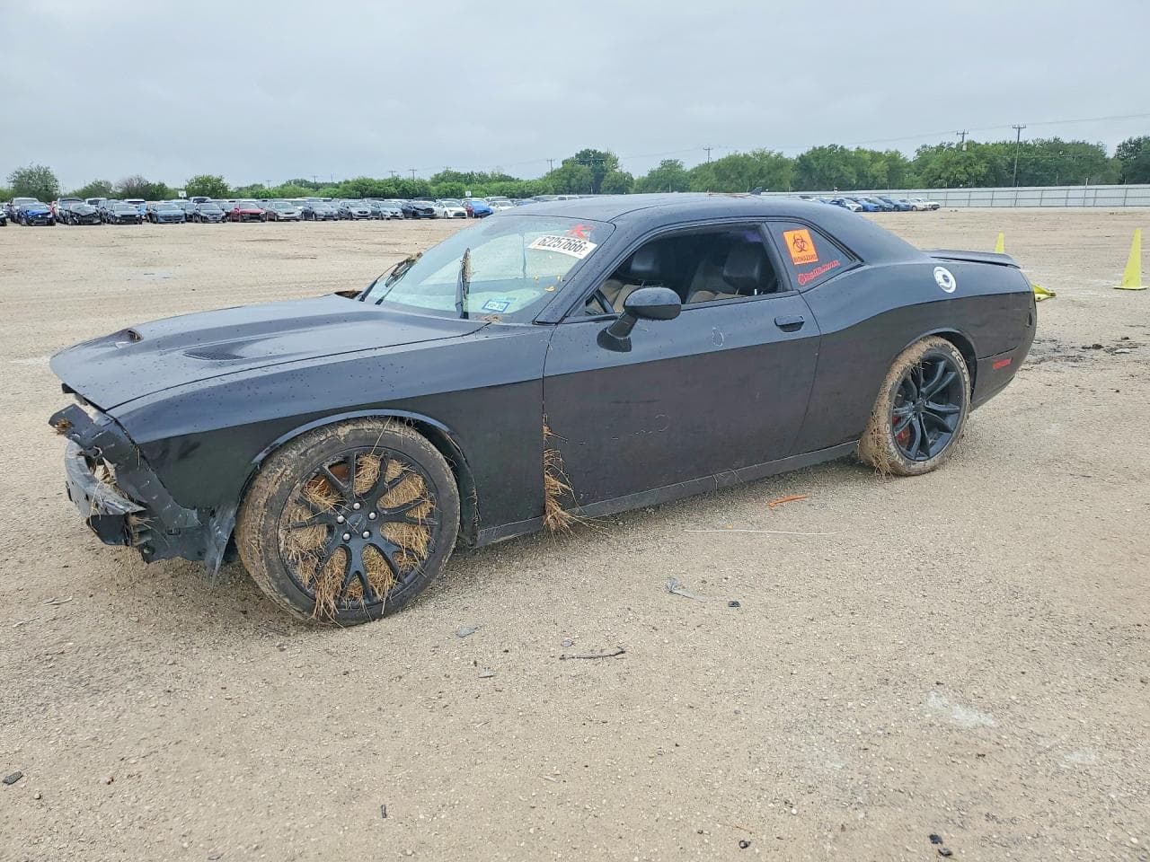 Dodge Challenger 2015 z USA