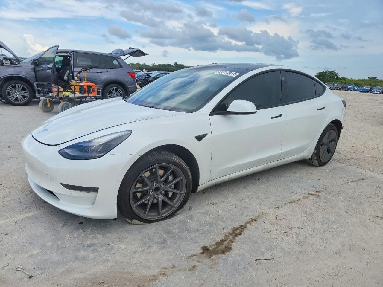 Tesla Model 3 2021 z USA