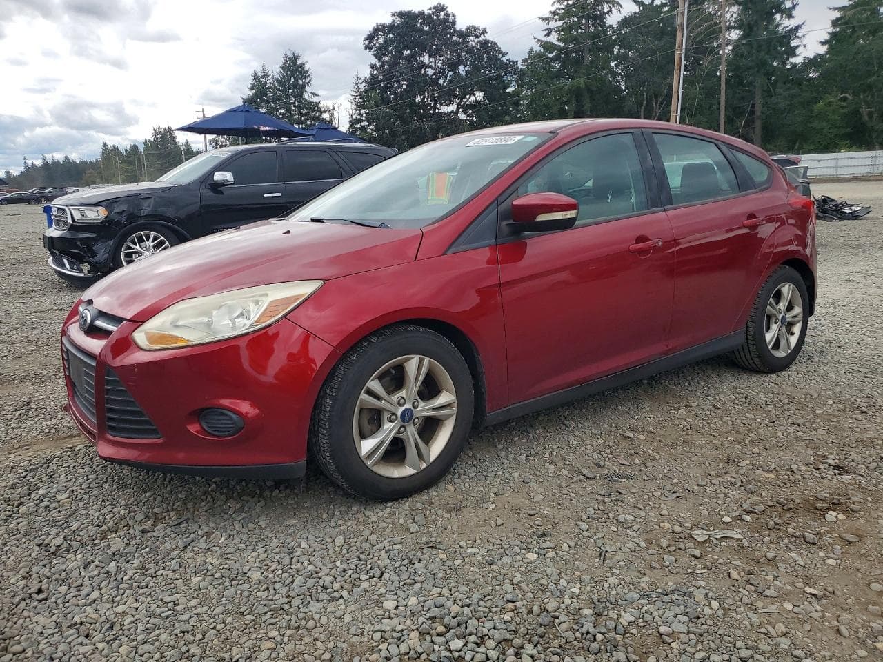 Ford Focus 2014 z USA