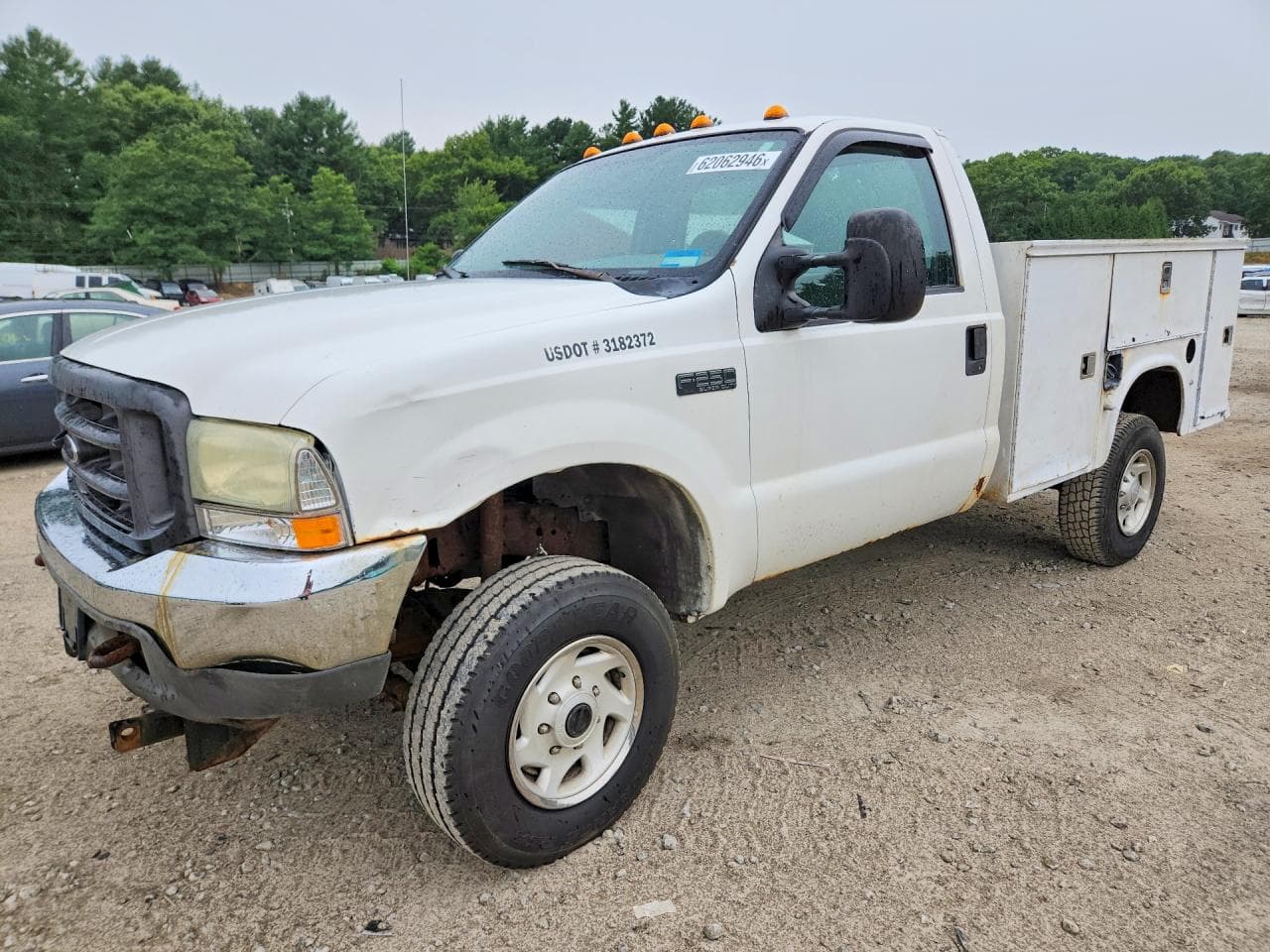 Ford F250 2004 z USA