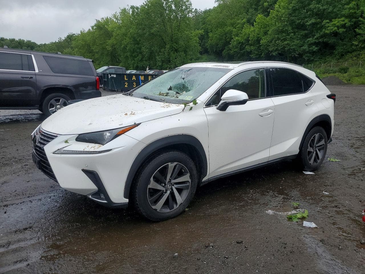 Lexus NX 2018 z USA
