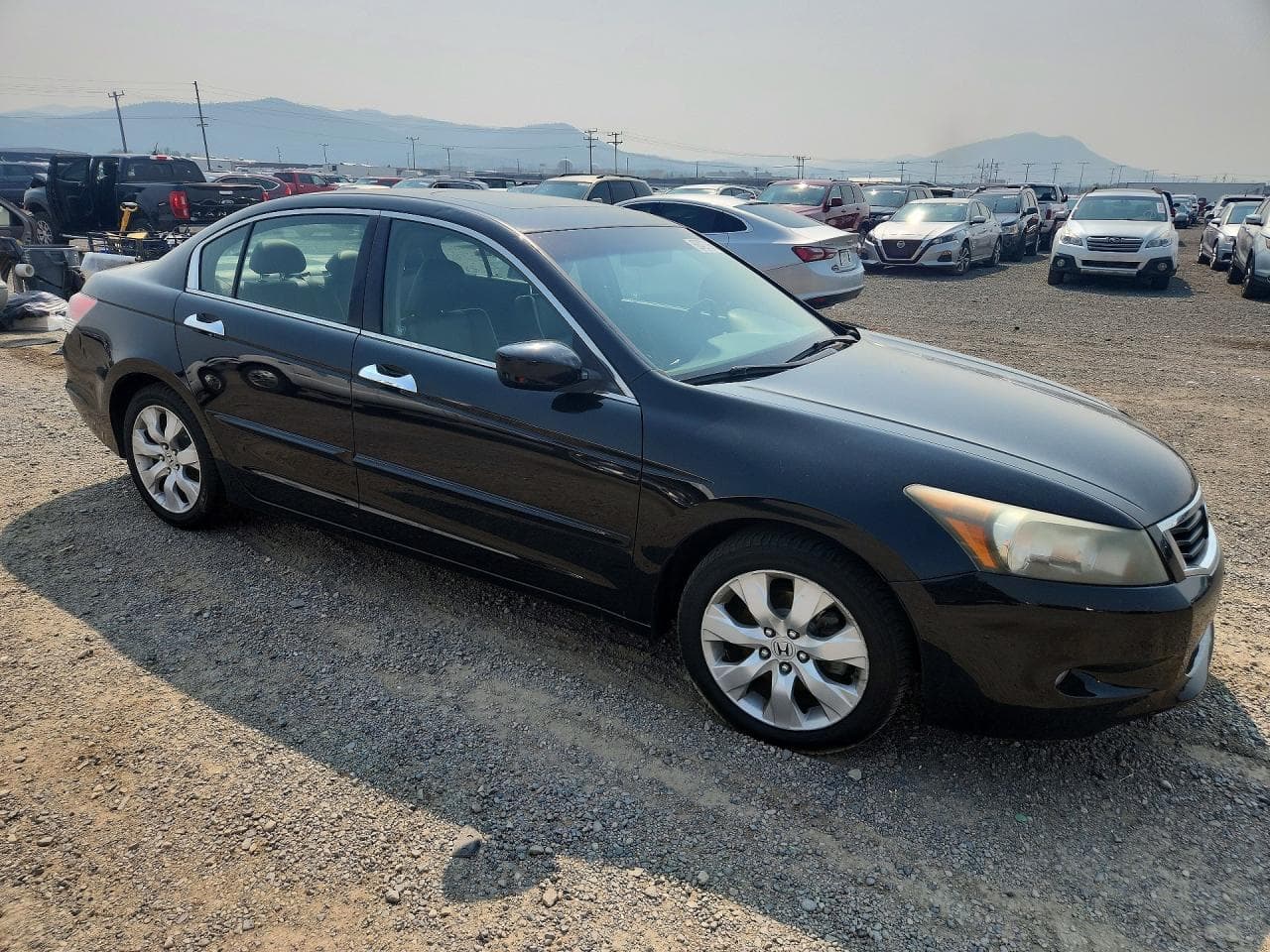 2009 Honda Accord Exl - foto 4