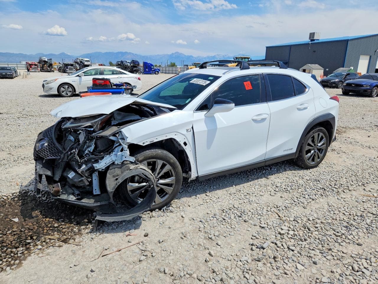 Lexus UX 2019 z USA