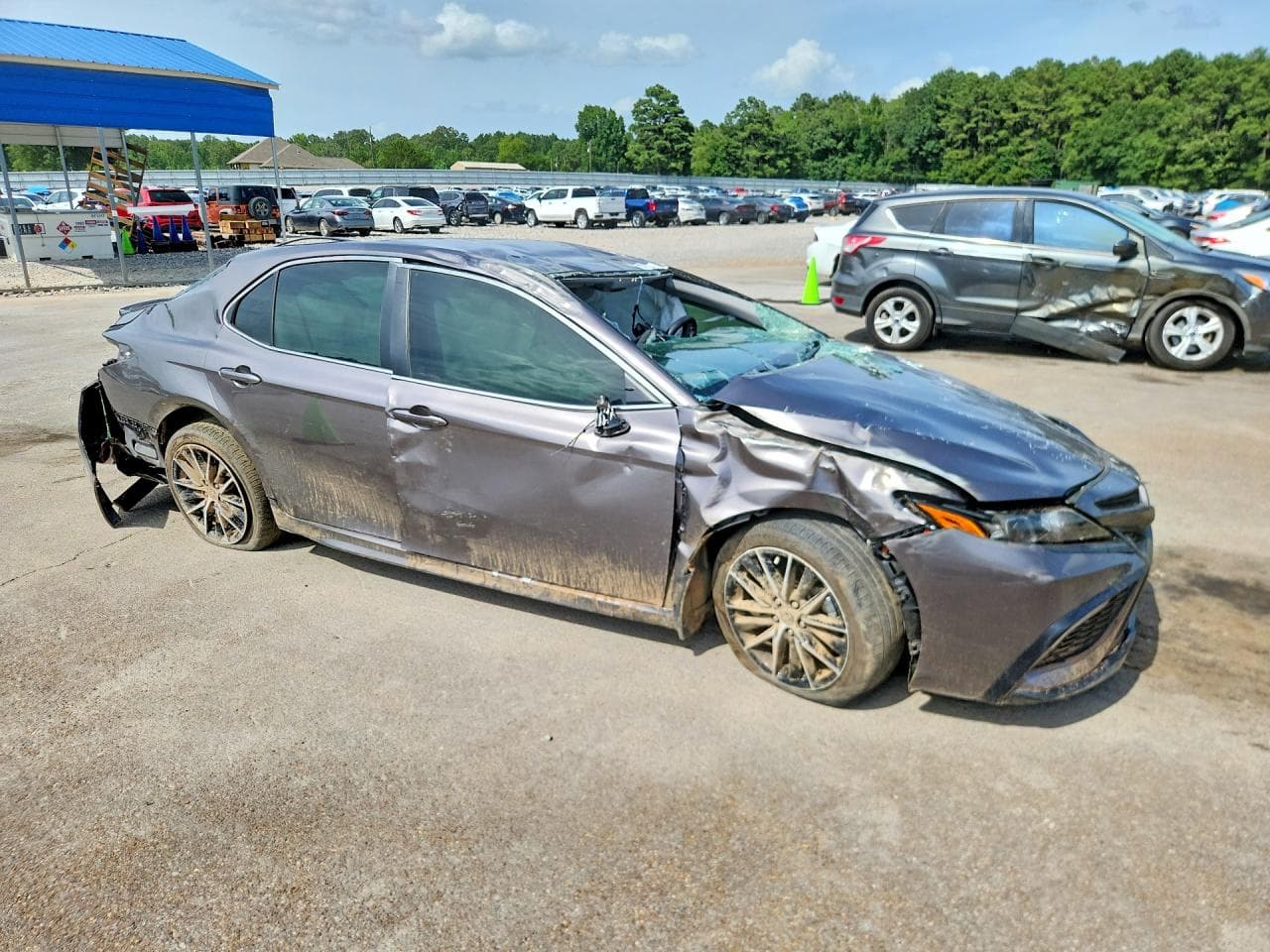 2024 Toyota Camry Hybrid Se - foto 4