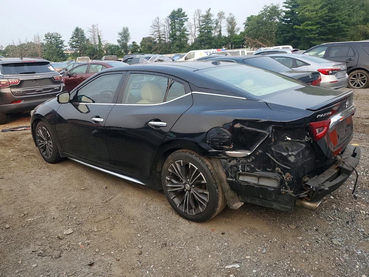 2016 Nissan Maxima Platinum - foto 2