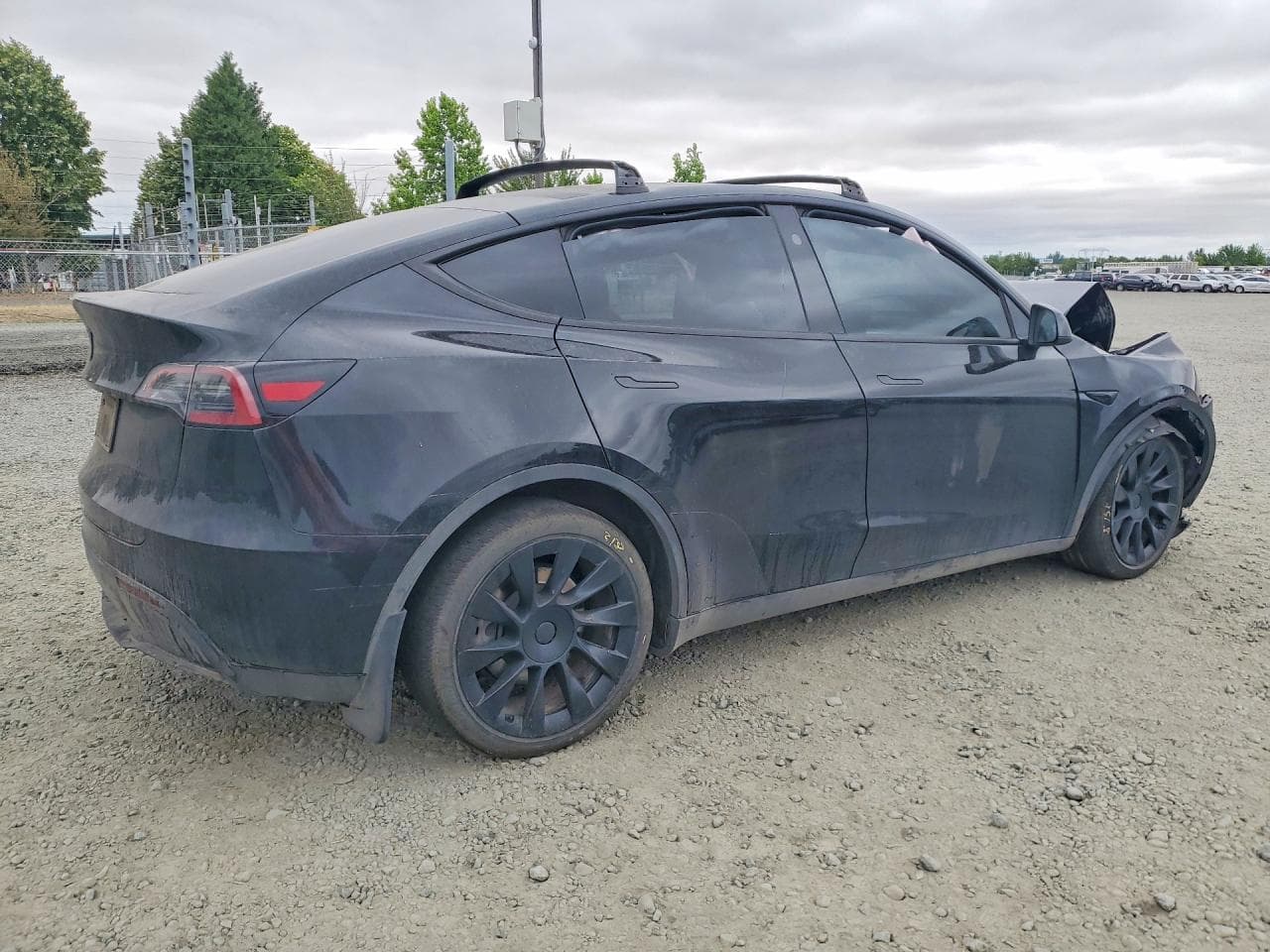 2024 Tesla Model Y - foto 3