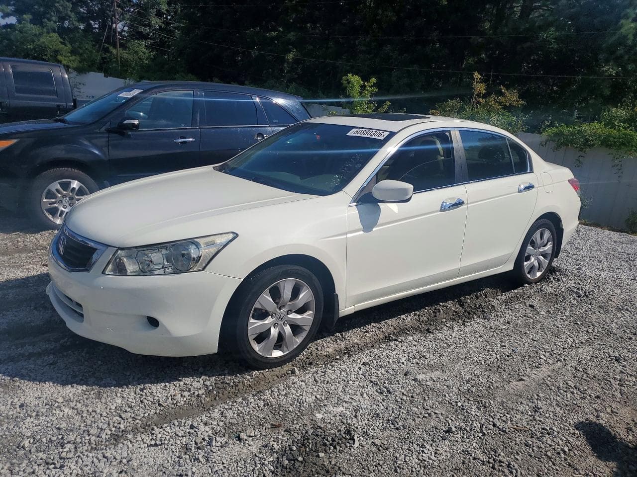 Honda Accord 2010 z USA