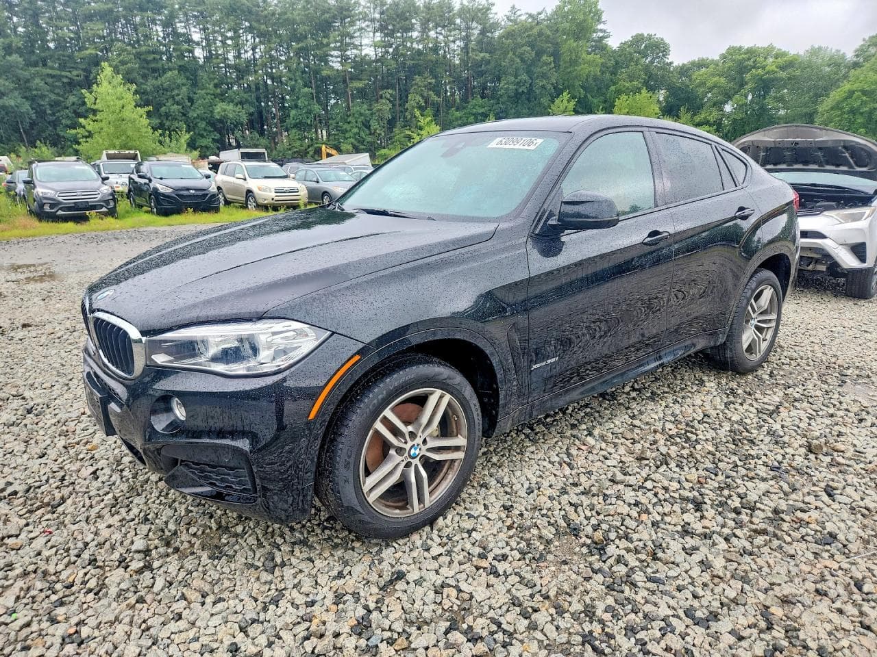 BMW X6 2019 z USA