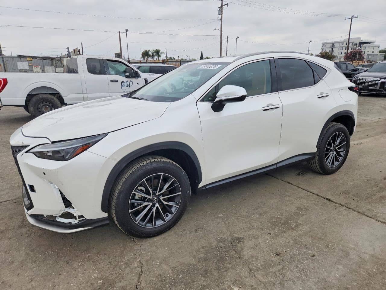 Lexus NX 2024 z USA