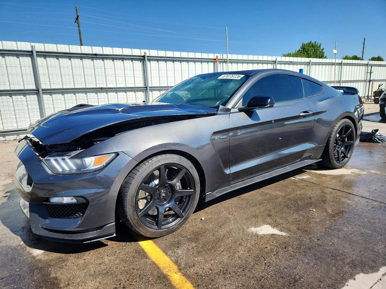 2019 Ford Mustang Shelby Gt350